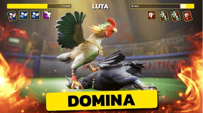 d11 Brasil Apostas casino