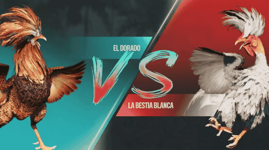 d11 Jogos App Baixar